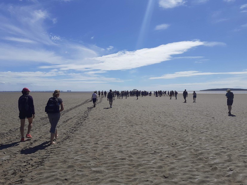 crowd on a beach