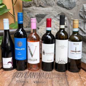 Vegan Mixed Wine Case