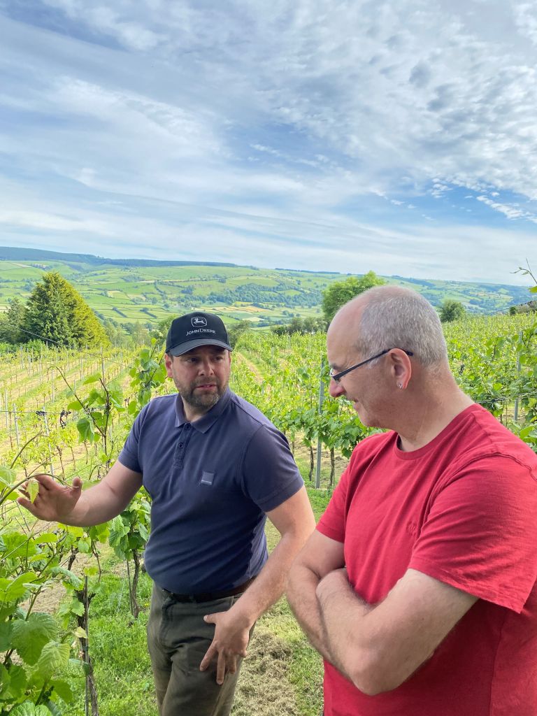 Welsh Wine - Montgomery Vineyard 