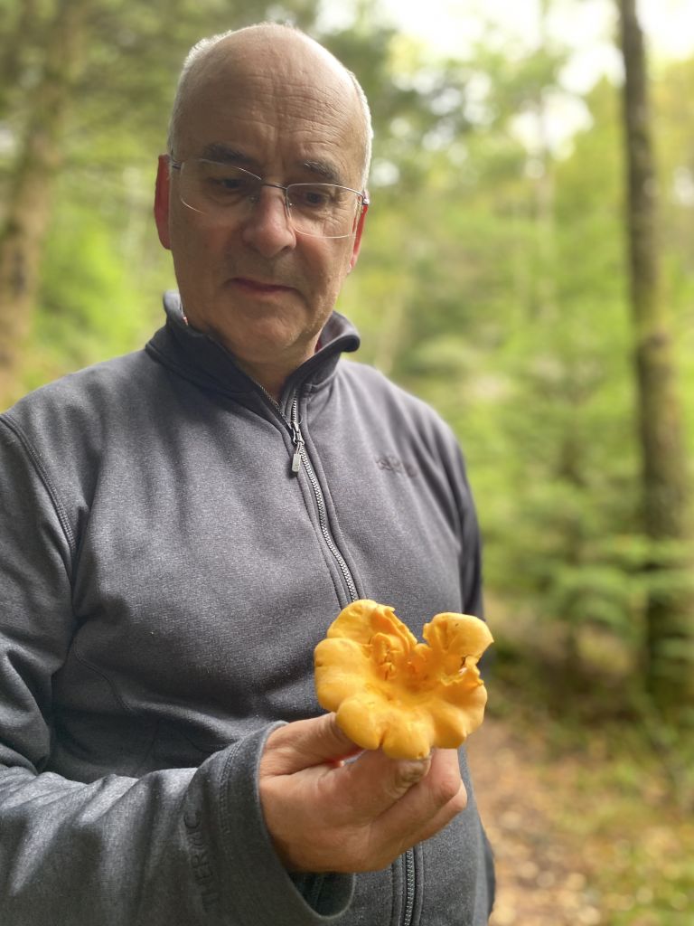 Dylan has picked a lovely Chanterelle in Dolgellau